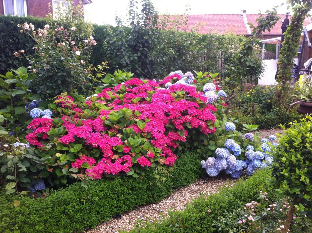 Chalet Or Apartment Nearby Roermond Outlet Stevensweert Экстерьер фото