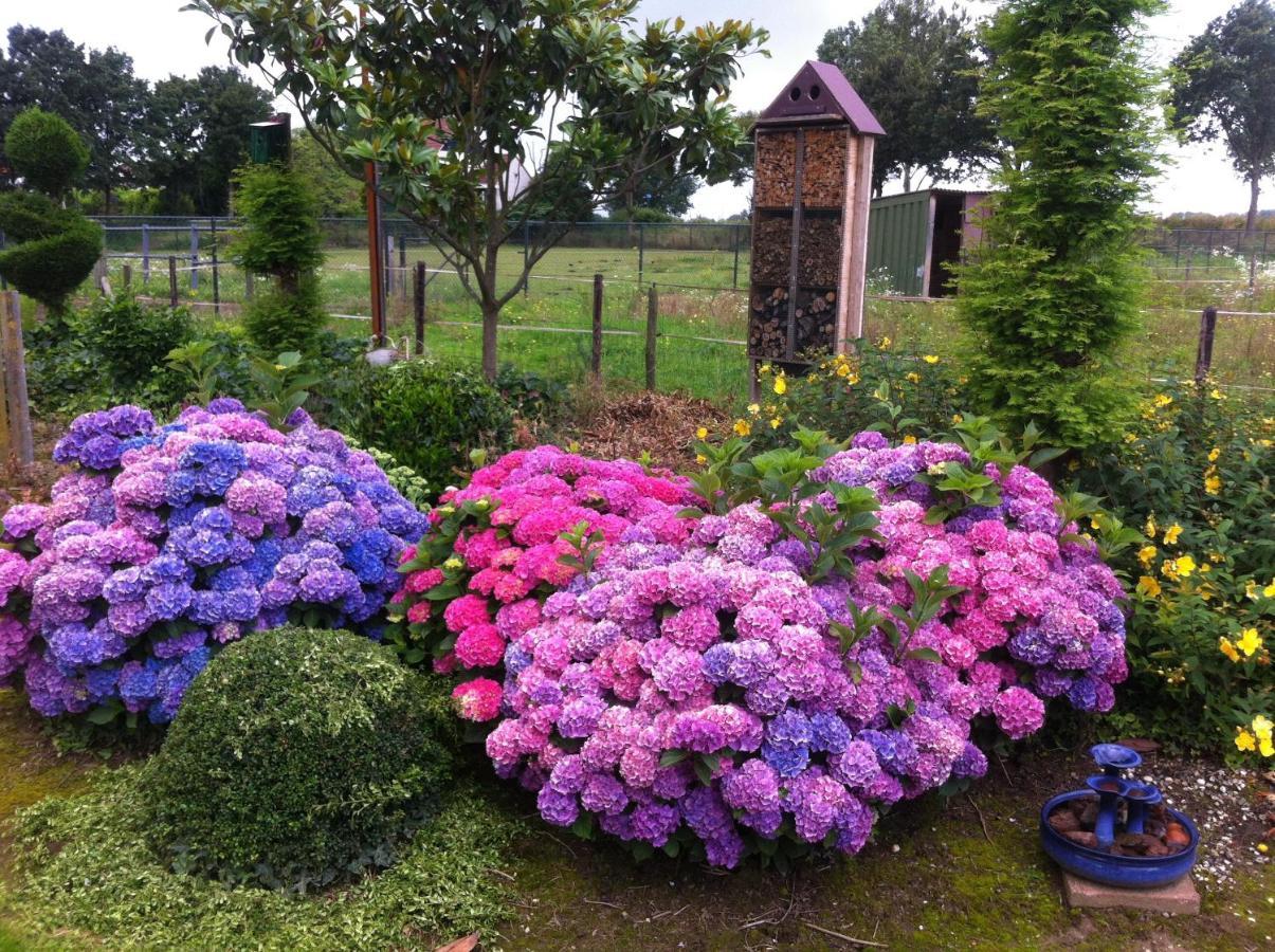 Chalet Or Apartment Nearby Roermond Outlet Stevensweert Экстерьер фото